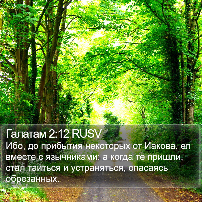 Галатам 2:12 RUSV Bible Study