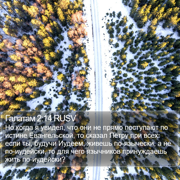 Галатам 2:14 RUSV Bible Study