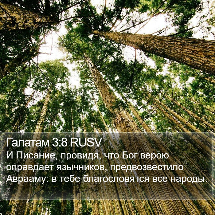 Галатам 3:8 RUSV Bible Study