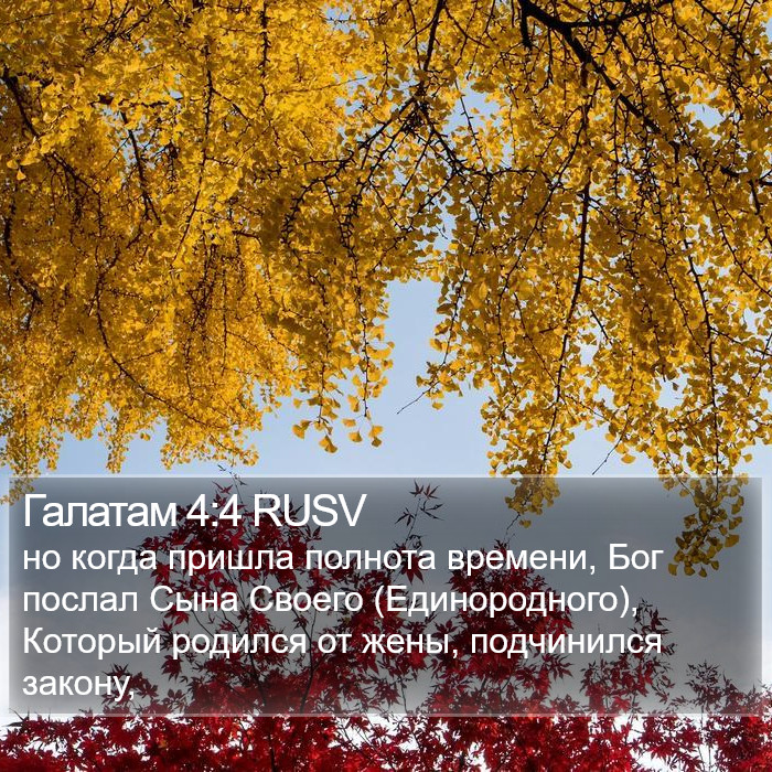 Галатам 4:4 RUSV Bible Study