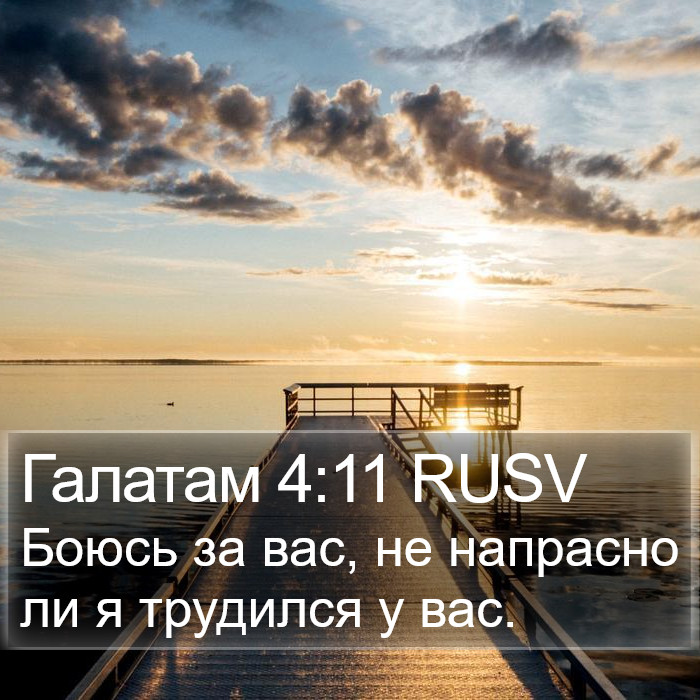 Галатам 4:11 RUSV Bible Study