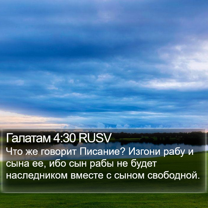 Галатам 4:30 RUSV Bible Study