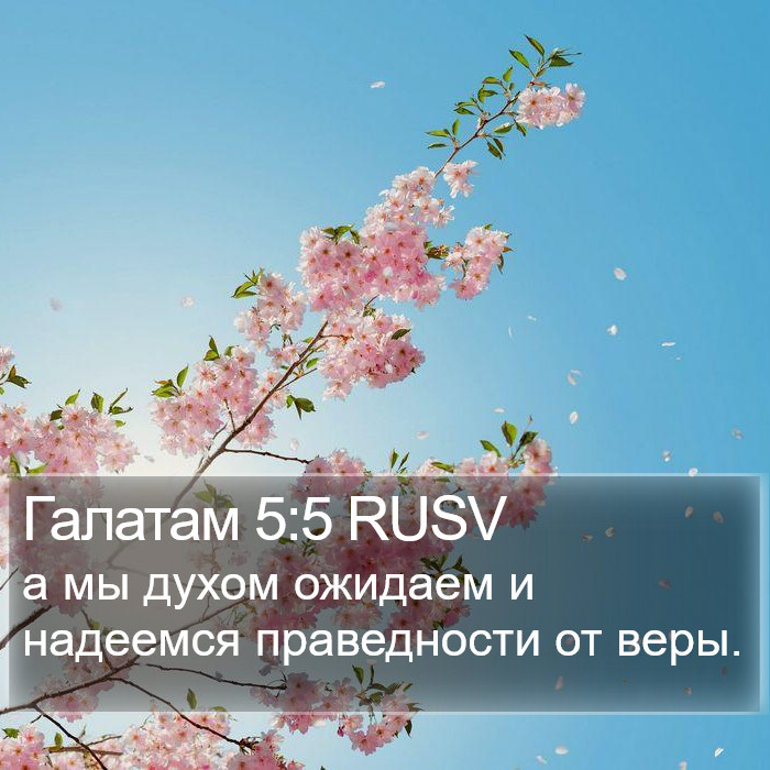 Галатам 5:5 RUSV Bible Study