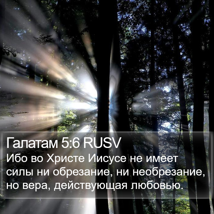 Галатам 5:6 RUSV Bible Study