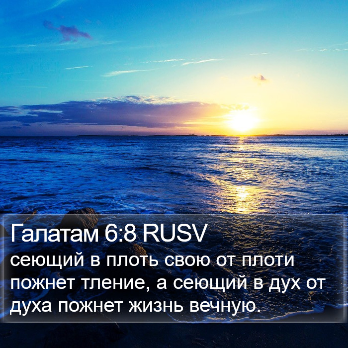 Галатам 6:8 RUSV Bible Study