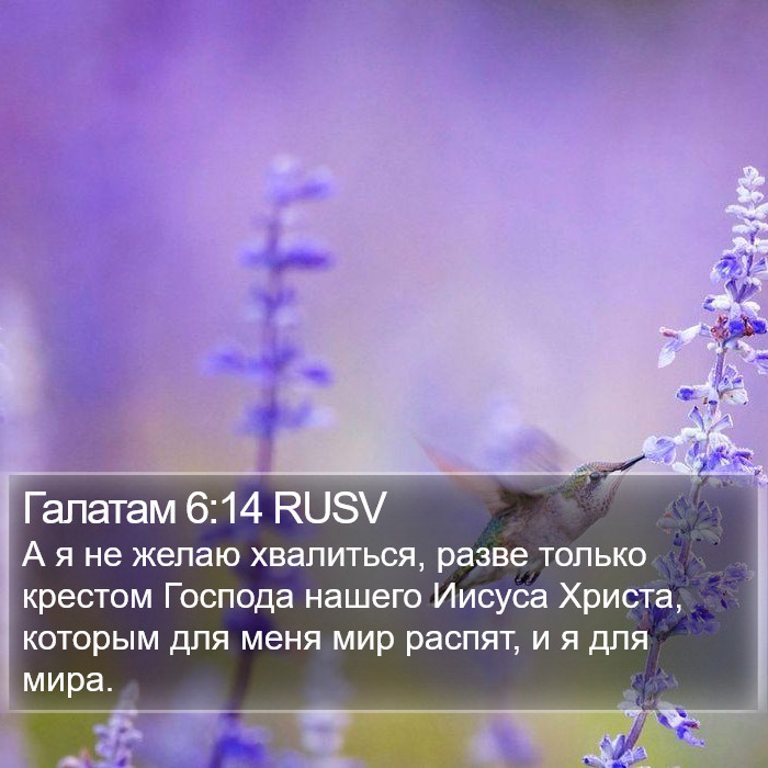 Галатам 6:14 RUSV Bible Study