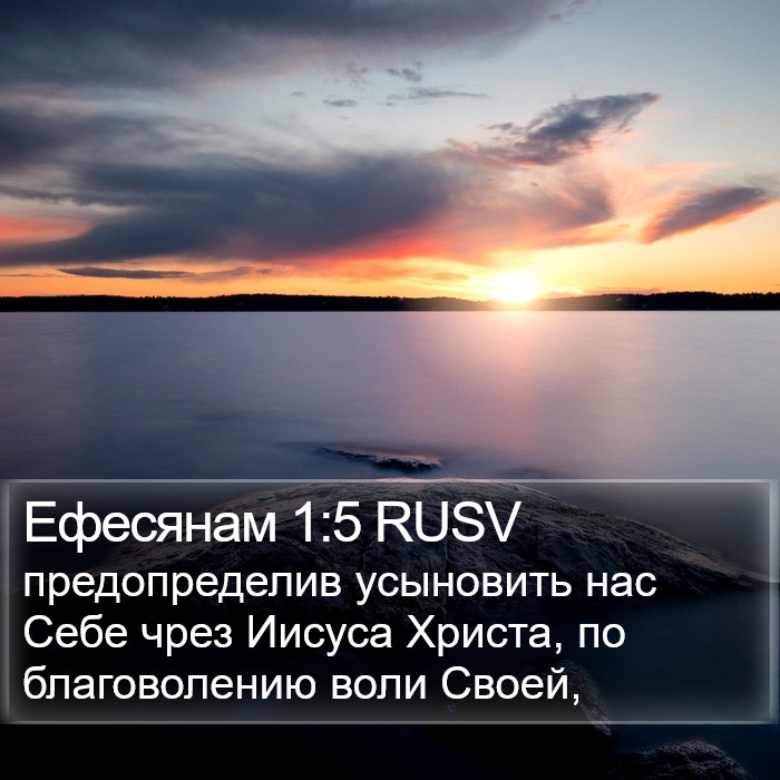 Ефесянам 1:5 RUSV Bible Study