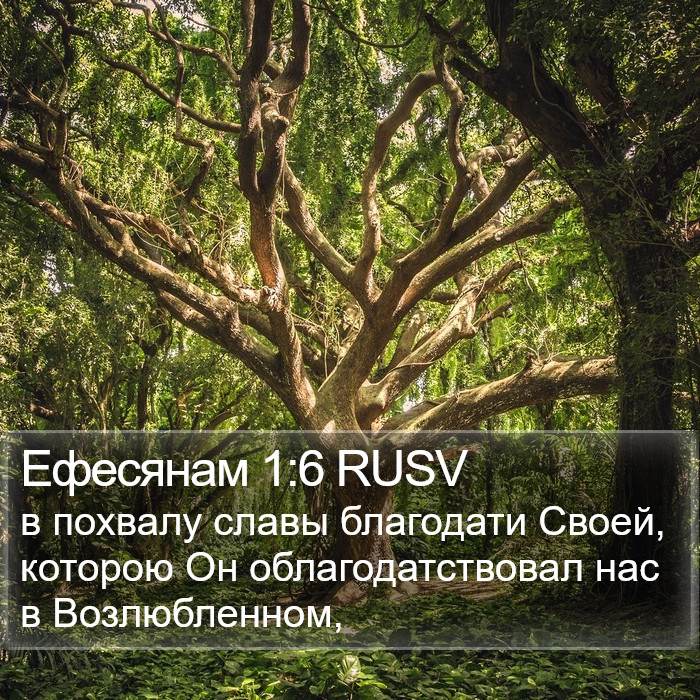 Ефесянам 1:6 RUSV Bible Study