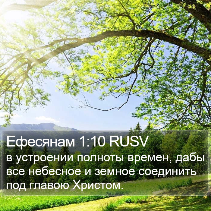 Ефесянам 1:10 RUSV Bible Study