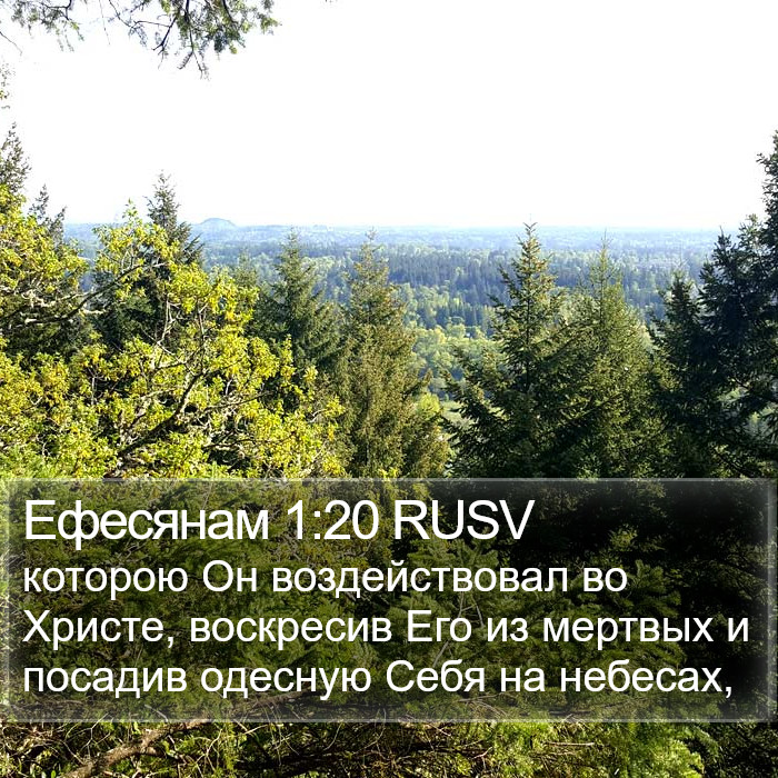 Ефесянам 1:20 RUSV Bible Study