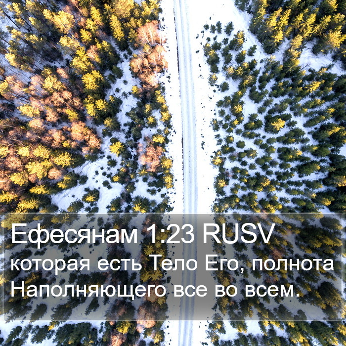 Ефесянам 1:23 RUSV Bible Study