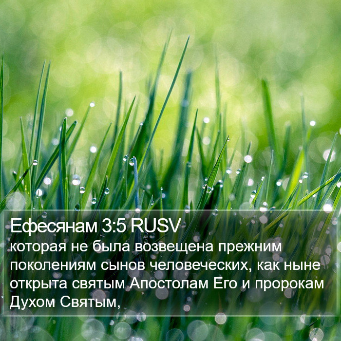 Ефесянам 3:5 RUSV Bible Study