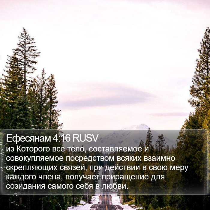 Ефесянам 4:16 RUSV Bible Study