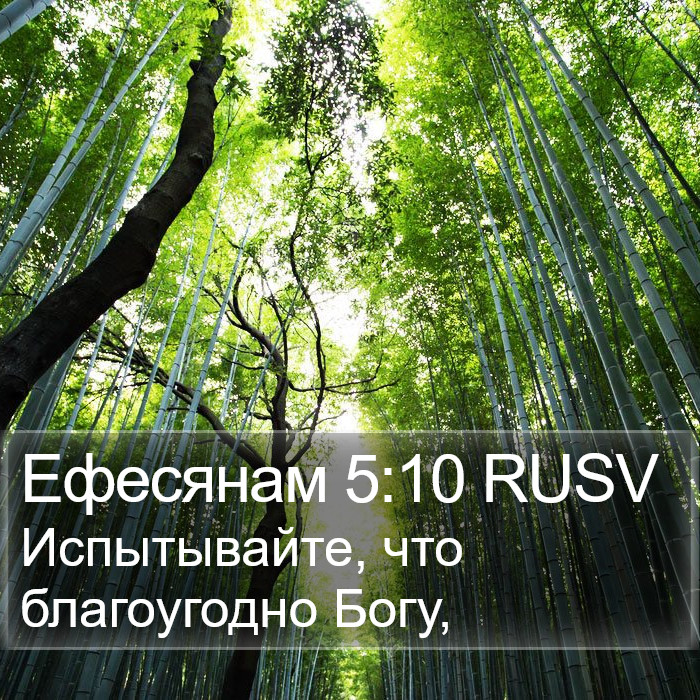 Ефесянам 5:10 RUSV Bible Study