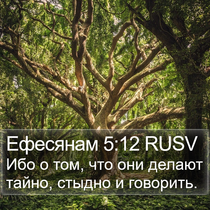 Ефесянам 5:12 RUSV Bible Study