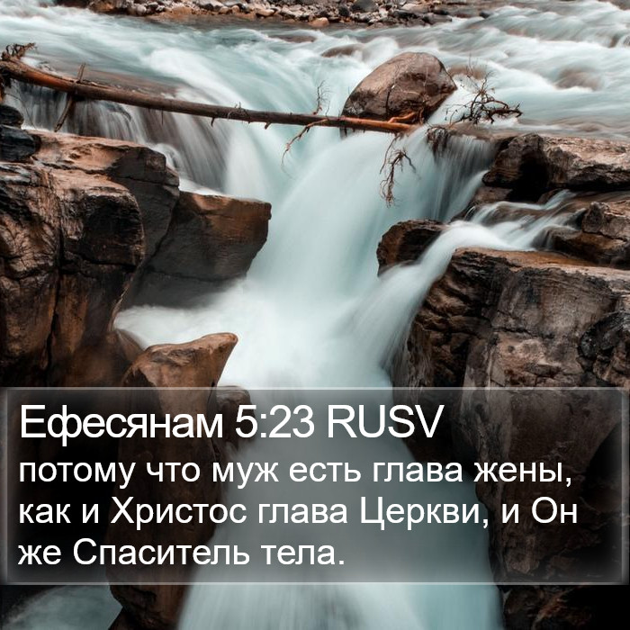 Ефесянам 5:23 RUSV Bible Study
