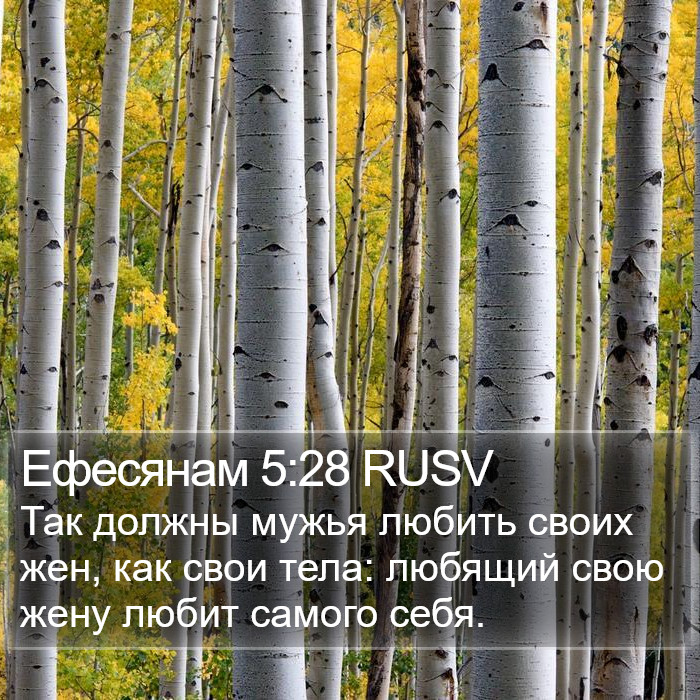 Ефесянам 5:28 RUSV Bible Study
