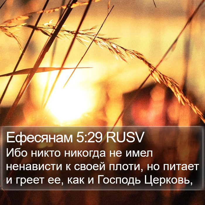 Ефесянам 5:29 RUSV Bible Study