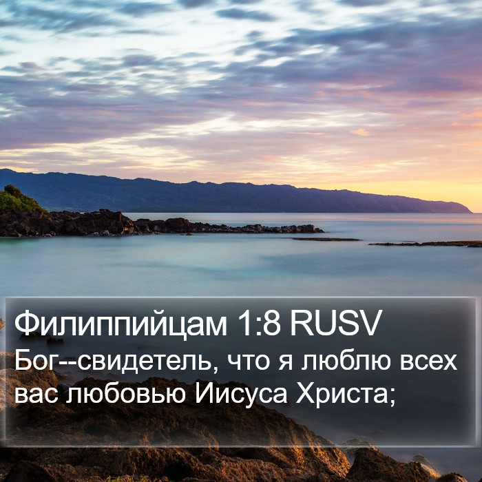 Филиппийцам 1:8 RUSV Bible Study