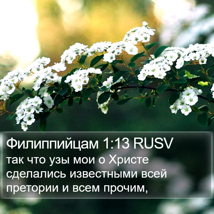 Филиппийцам 1:13 RUSV Bible Study