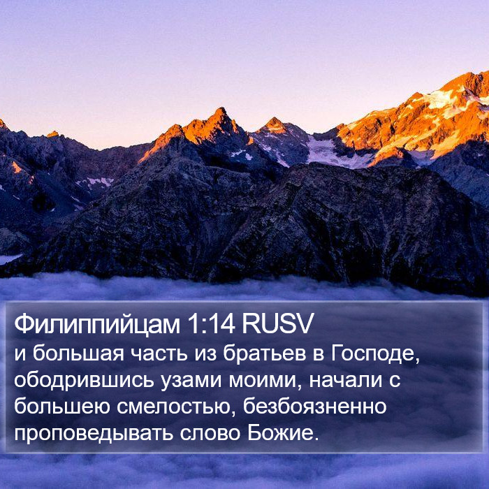 Филиппийцам 1:14 RUSV Bible Study