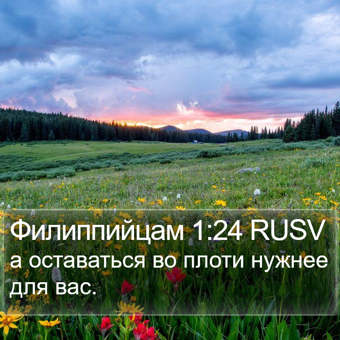 Филиппийцам 1:24 RUSV Bible Study