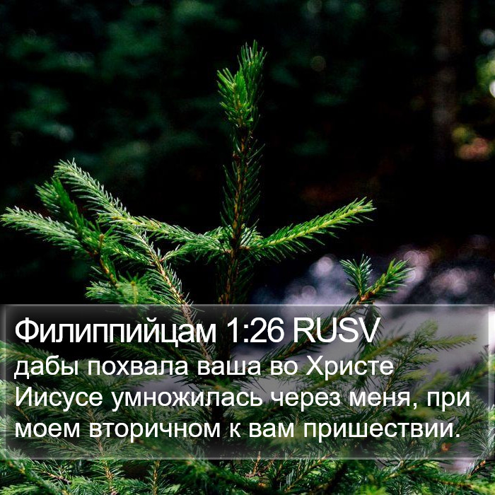 Филиппийцам 1:26 RUSV Bible Study