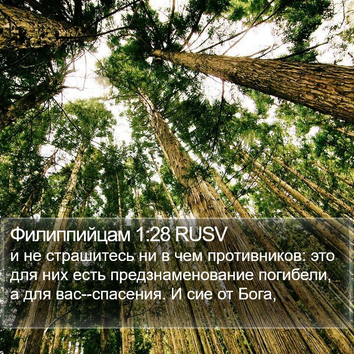 Филиппийцам 1:28 RUSV Bible Study