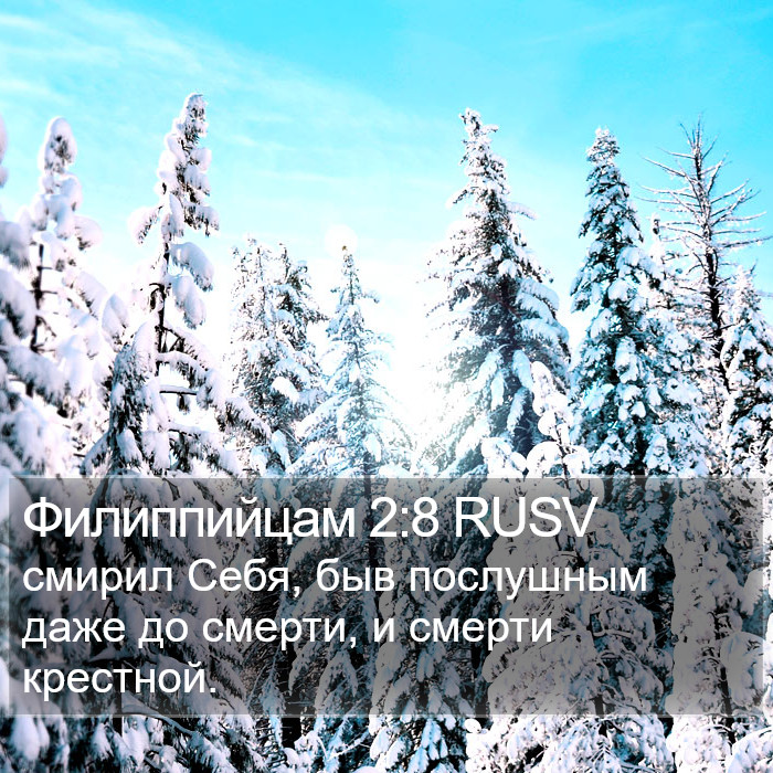 Филиппийцам 2:8 RUSV Bible Study