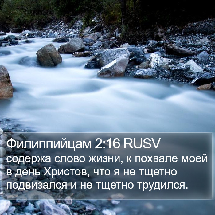 Филиппийцам 2:16 RUSV Bible Study