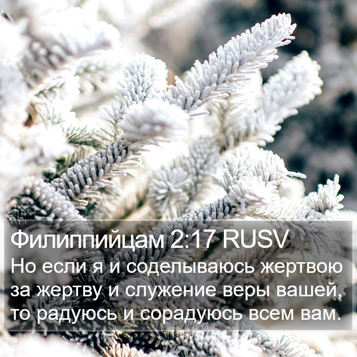 Филиппийцам 2:17 RUSV Bible Study