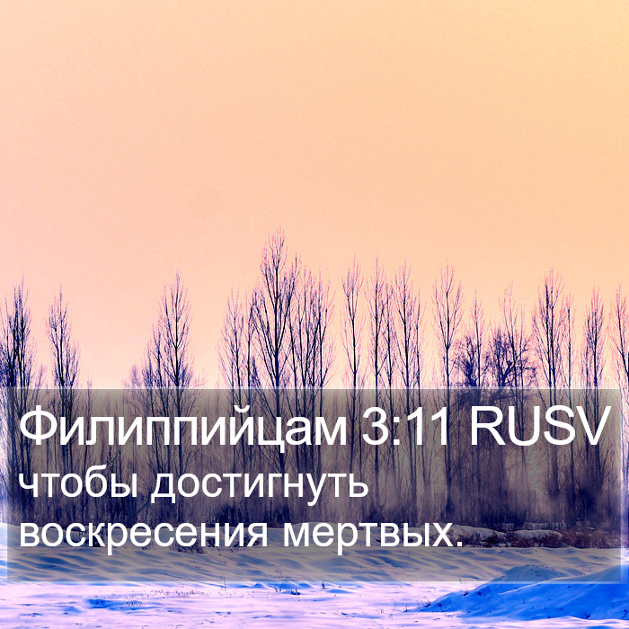 Филиппийцам 3:11 RUSV Bible Study
