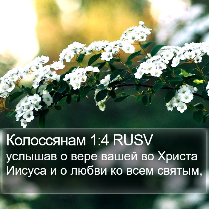 Колоссянам 1:4 RUSV Bible Study