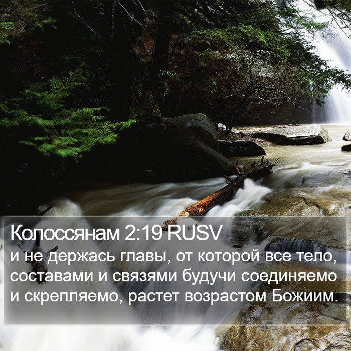 Колоссянам 2:19 RUSV Bible Study