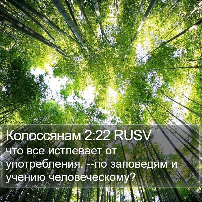 Колоссянам 2:22 RUSV Bible Study