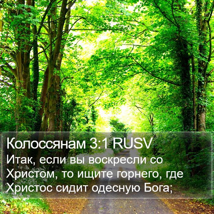 Колоссянам 3:1 RUSV Bible Study