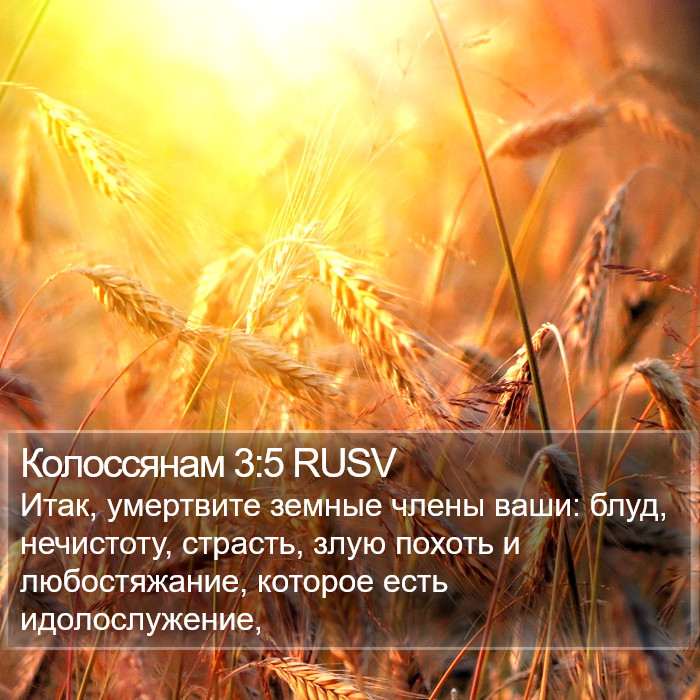 Колоссянам 3:5 RUSV Bible Study