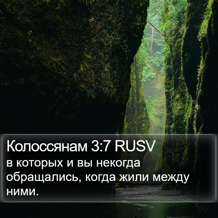 Колоссянам 3:7 RUSV Bible Study