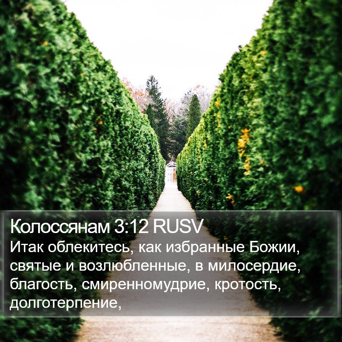 Колоссянам 3:12 RUSV Bible Study