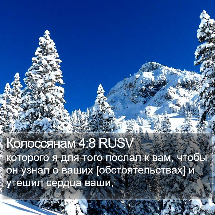 Колоссянам 4:8 RUSV Bible Study