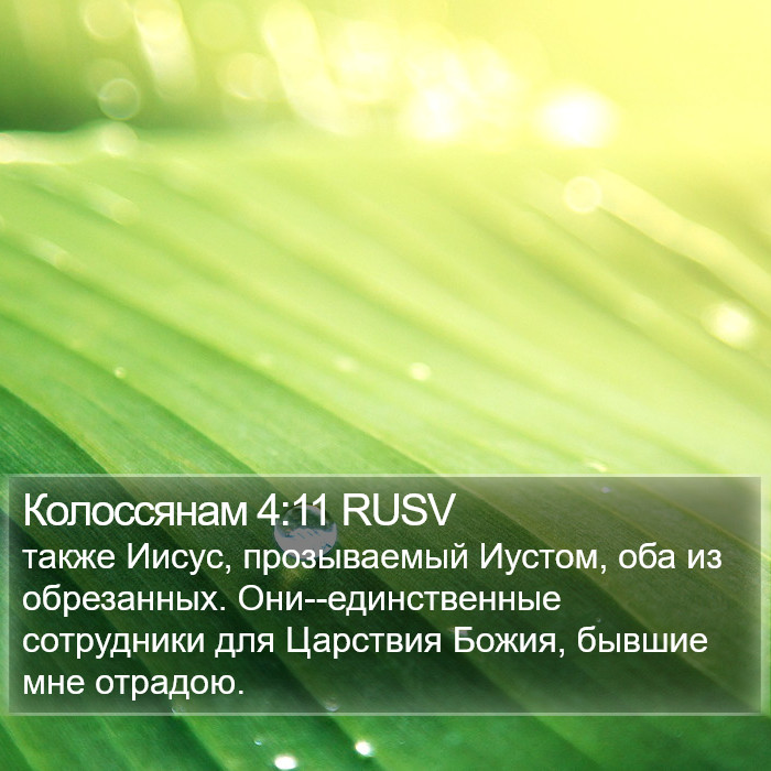 Колоссянам 4:11 RUSV Bible Study