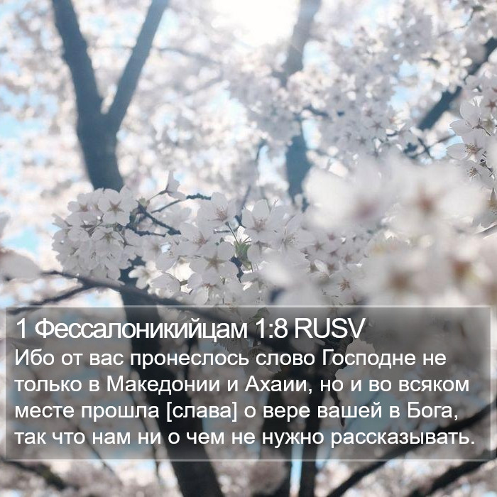 1 Фессалоникийцам 1:8 RUSV Bible Study