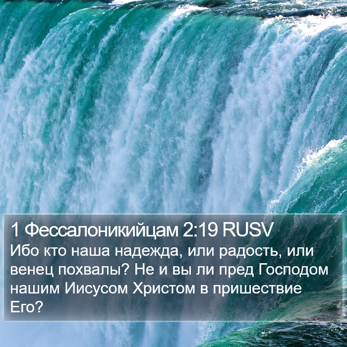 1 Фессалоникийцам 2:19 RUSV Bible Study