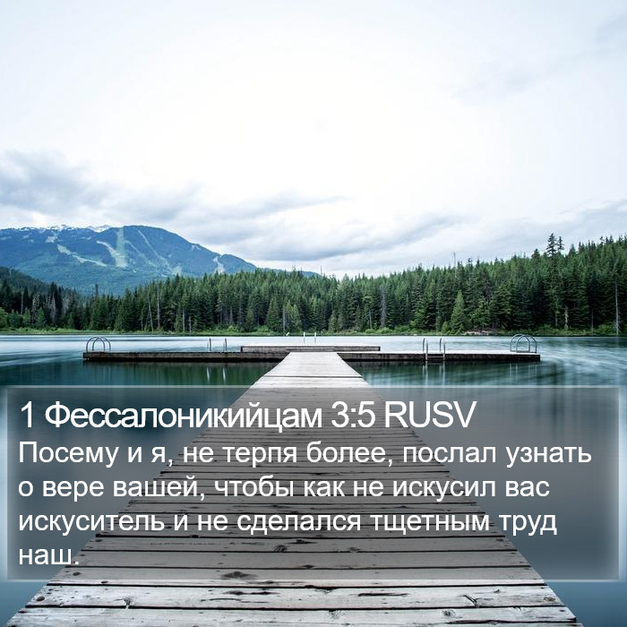 1 Фессалоникийцам 3:5 RUSV Bible Study