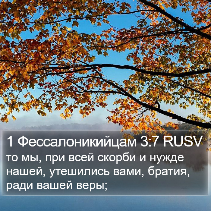 1 Фессалоникийцам 3:7 RUSV Bible Study