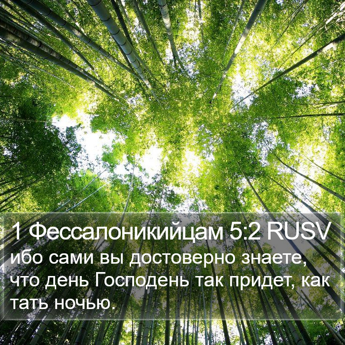 1 Фессалоникийцам 5:2 RUSV Bible Study