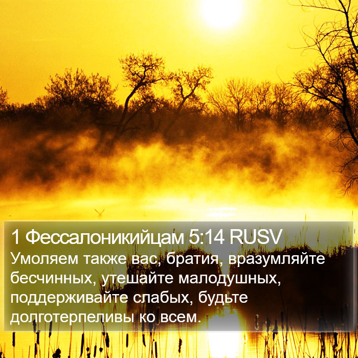 1 Фессалоникийцам 5:14 RUSV Bible Study