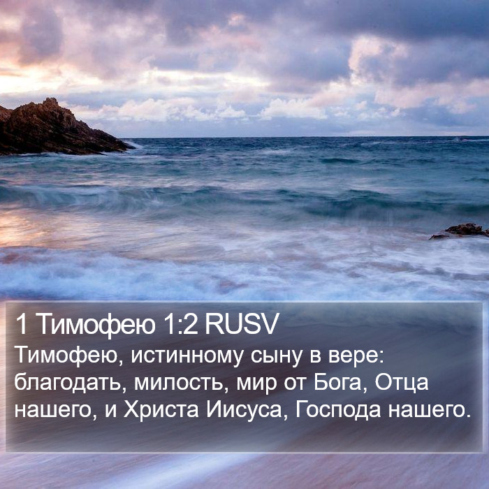 1 Тимофею 1:2 RUSV Bible Study