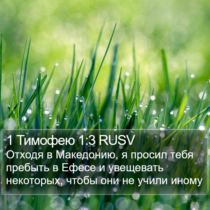 1 Тимофею 1:3 RUSV Bible Study