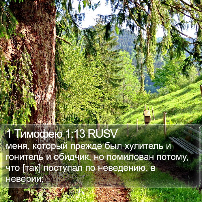 1 Тимофею 1:13 RUSV Bible Study